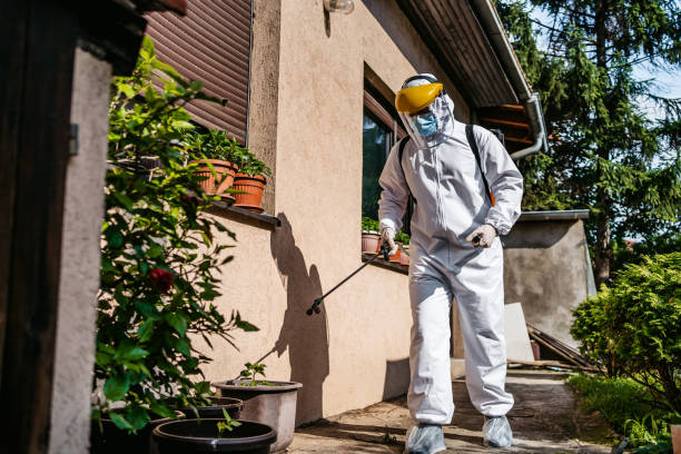 Best Affordable Pest Control Services  in East St Louis, IL