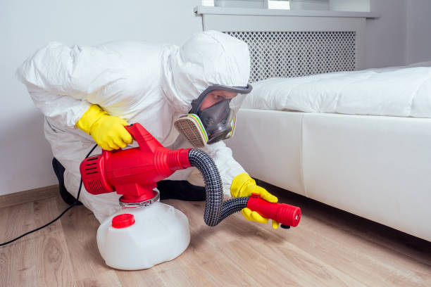 Best Commercial Pest Control Services  in East St Louis, IL