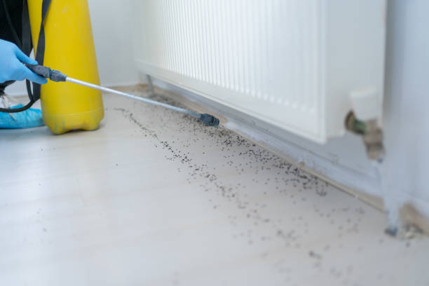 Best Mosquito Control Services  in East St Louis, IL