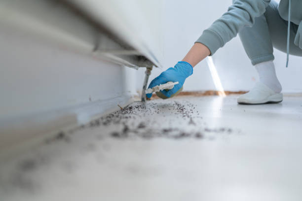 Best Emergency Pest Control  in East St Louis, IL